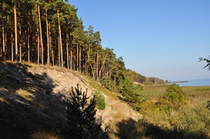 Frische Nehrung, Südküste